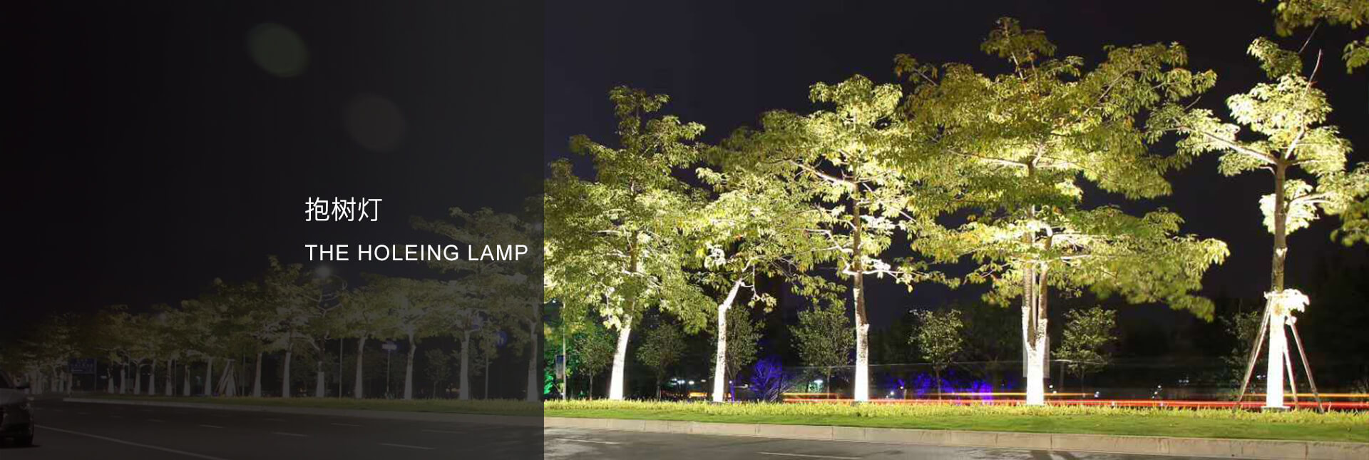 抱树灯